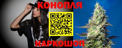 сатива Волгодонск